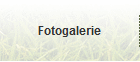 Fotogalerie