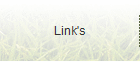 Link's